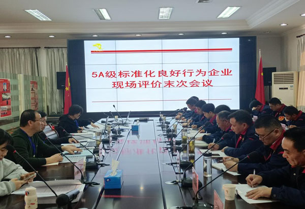 省標(biāo)準(zhǔn)化評審組到公司開展評審工作 省標(biāo)準(zhǔn)化評審組到公司開展評審工作